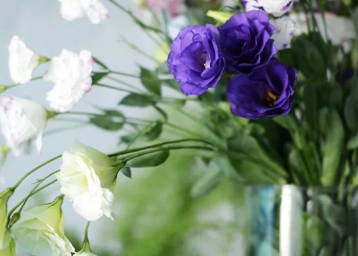 Отель волна Одесса