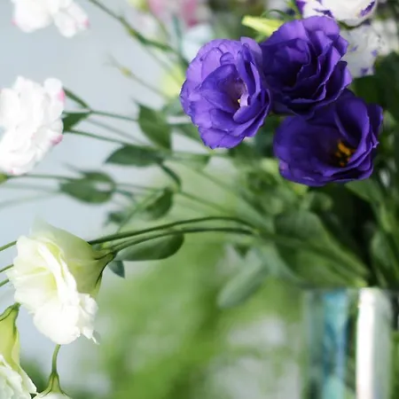 Готель волна Одеса