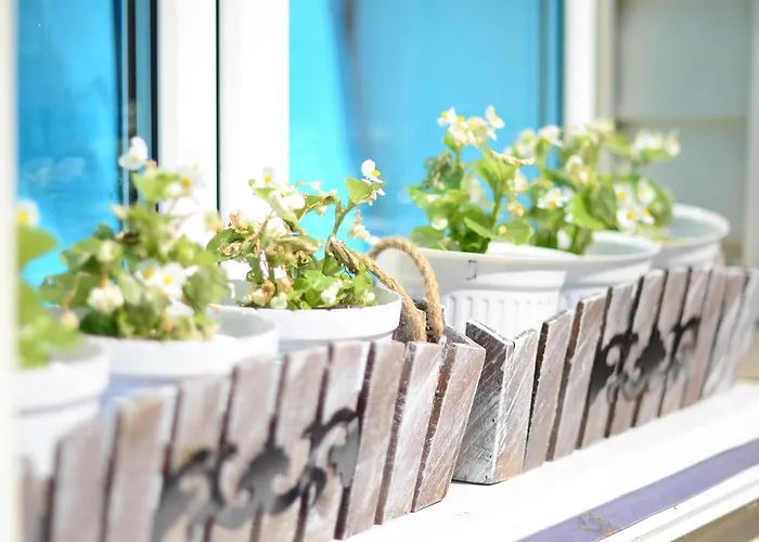 волна Одеса